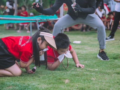 Hoạt động hè - kỹ năng sống
